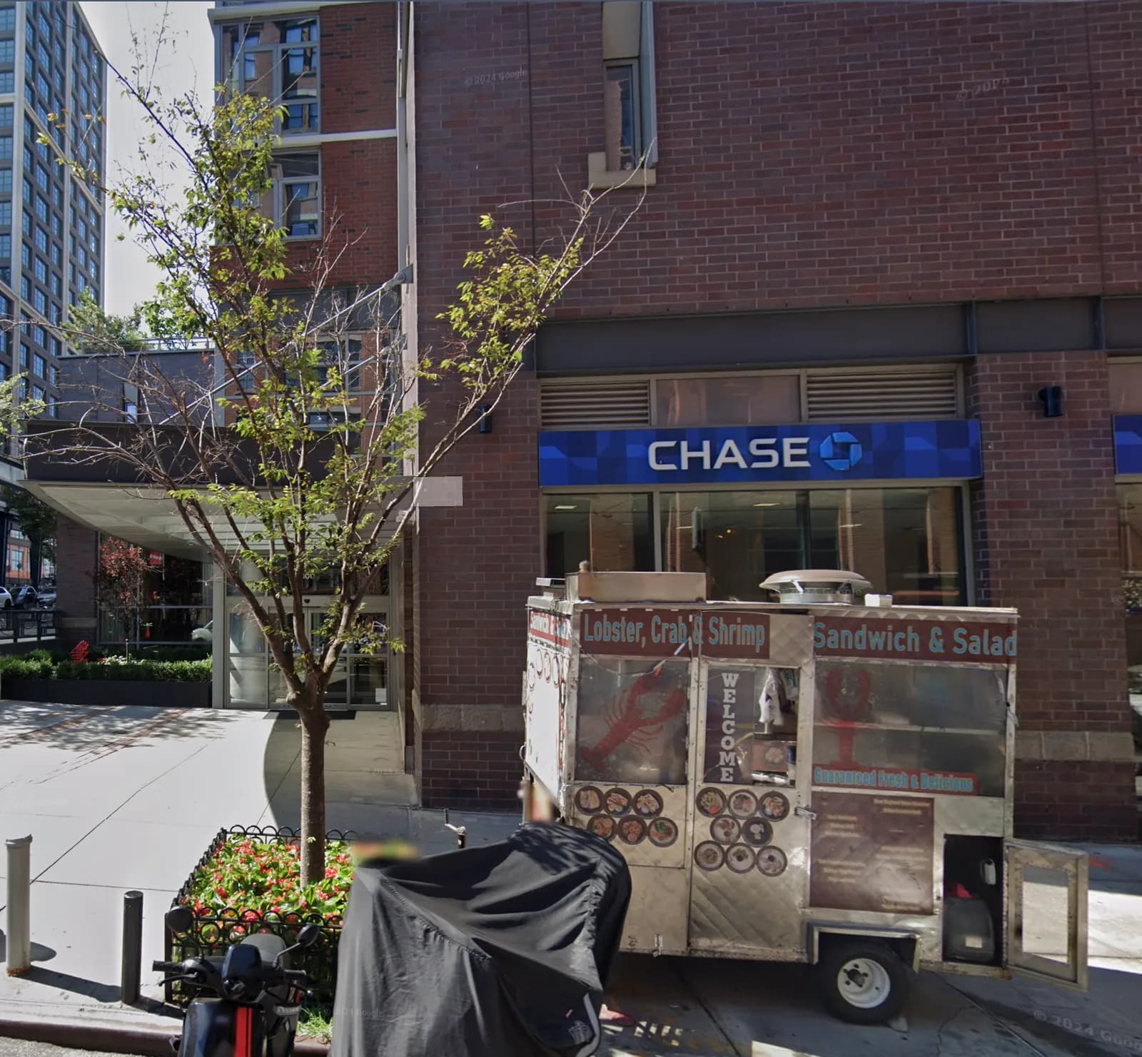 Cherry at 151 Front Street in its planted sidewalk bed